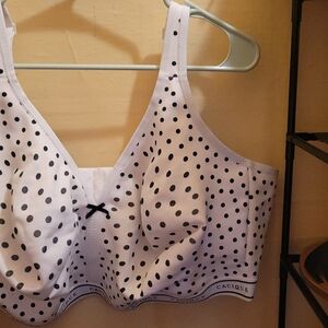 Cacique White Polka Dot Bra